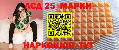 MDMA Гатчина