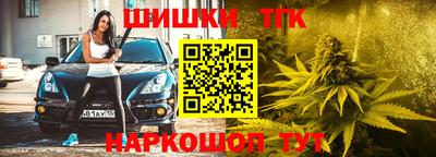 стаф Гагарин