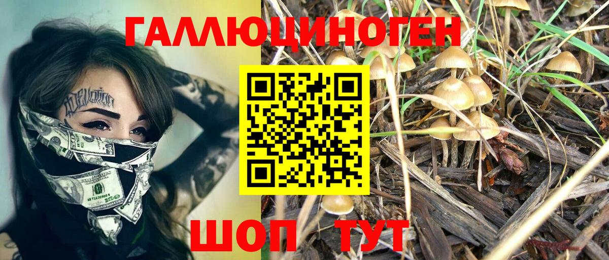 Псилоцибиновые грибы MAGIC MUSHROOMS Можга