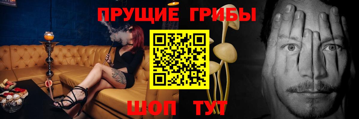 Псилоцибиновые грибы Psilocybine cubensis  сколько стоит  Можга  Вход с VPN  Псилоцибиновые грибы ЛСД 