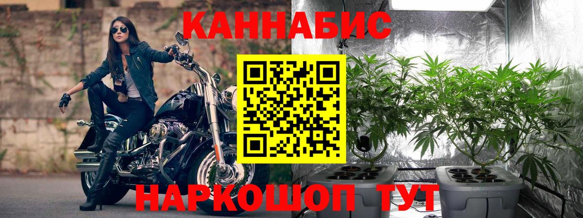 Каннабис Ganja Можга